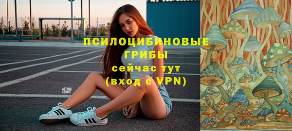Альфа ПВП Армянск