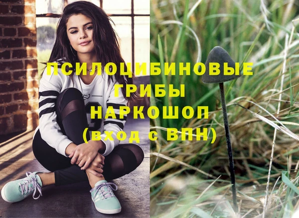 Альфа ПВП Армянск