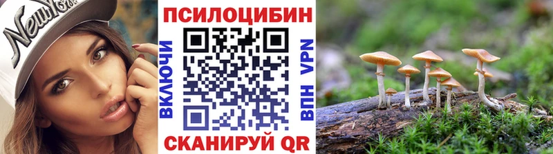 Псилоцибиновые грибы Cubensis  Лебедянь 